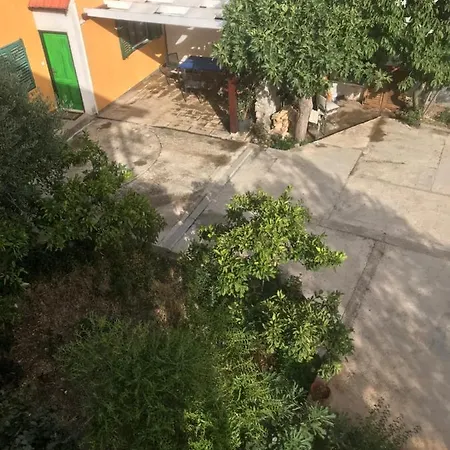 Lavanda * Zadar