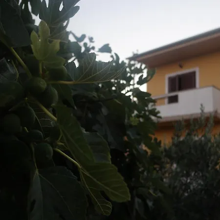 Appartamento Lavanda