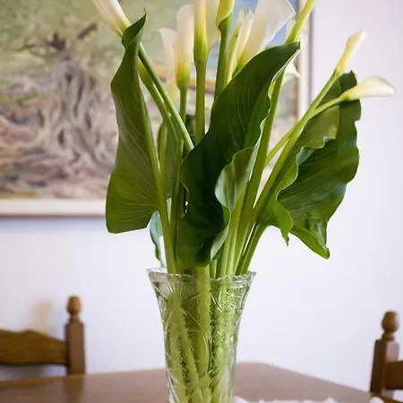 Lavanda Apartment *